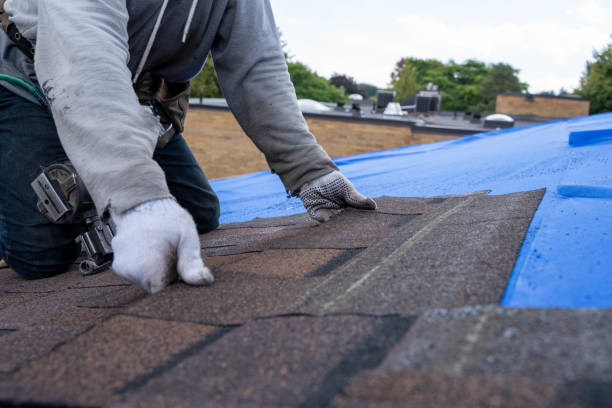 Best Storm Damage Roof Repair  in Silver Lake, NC