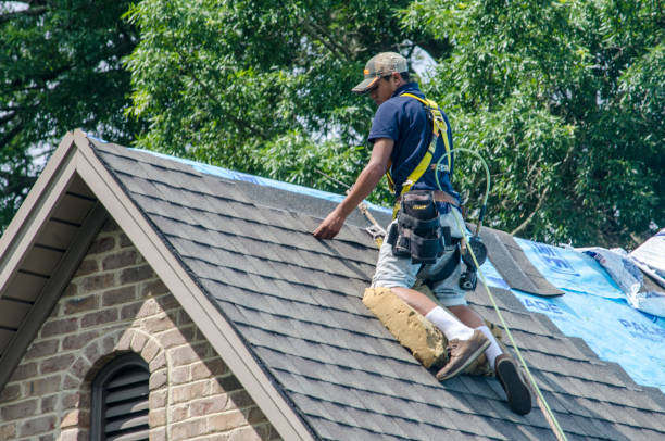 Best Roof Gutter Cleaning  in Silver Lake, NC